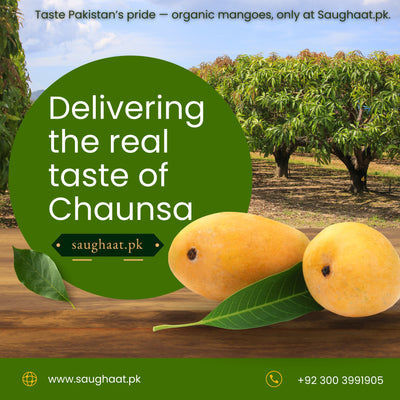 Hand Picked Export Quality Multani Mangoes